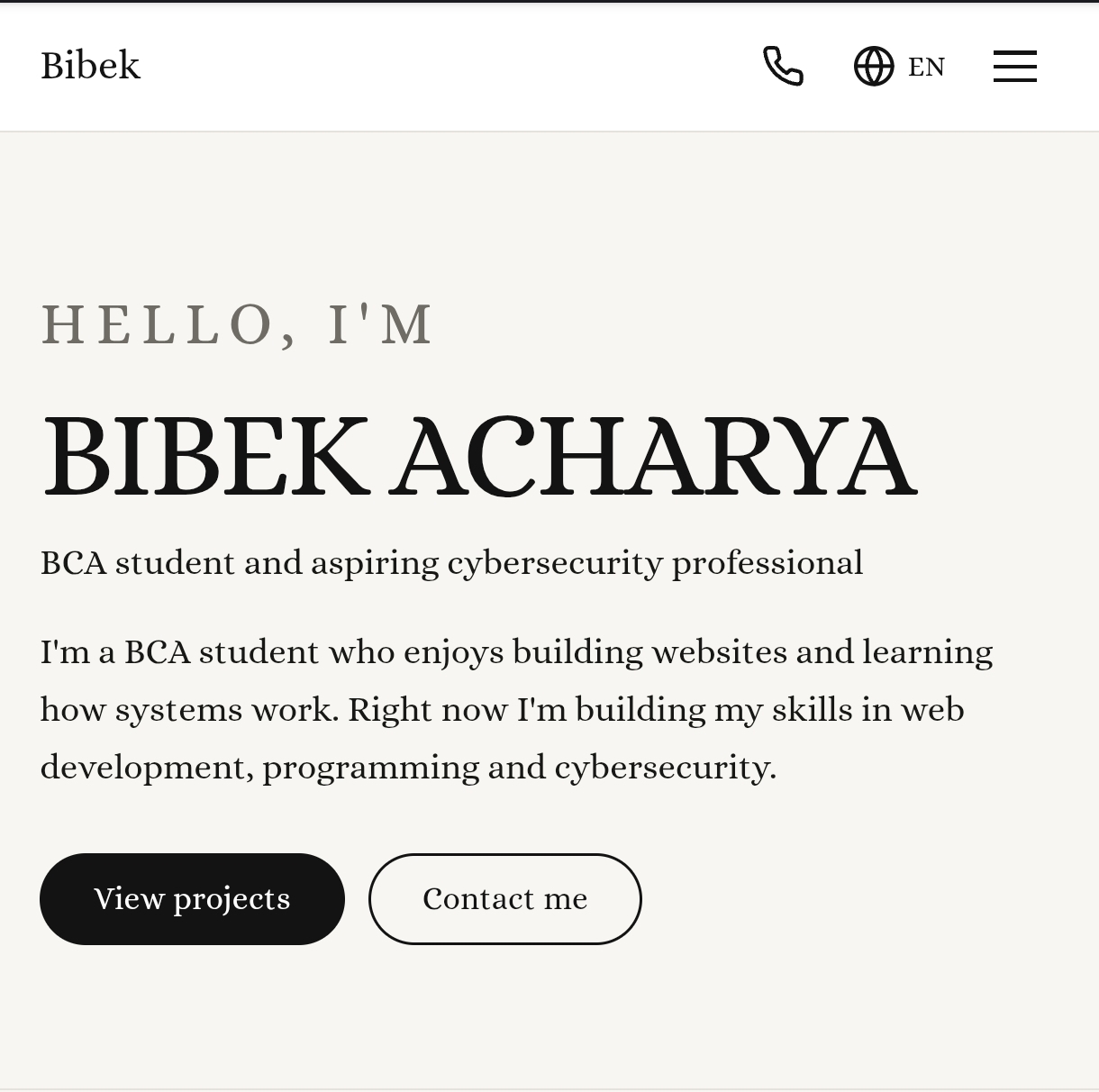 Screenshot of my portfolio website